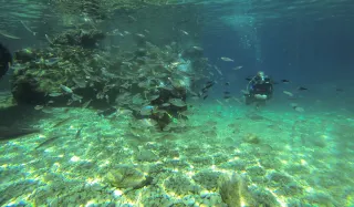 Fethiye Scuba Diving - 6